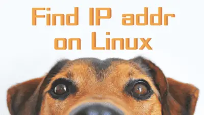 Find your ip address on Linux