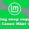 Enable snap support in Mint Linux 20 - Picture