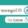 MongoDB Compass on Linux
