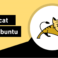 Tomcat server tumbnail
